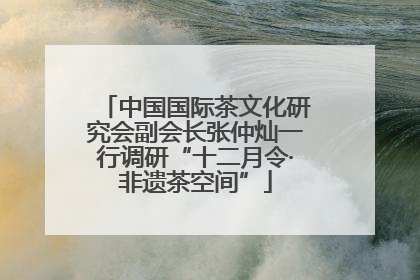 中国国际茶文化研究会副会长张仲灿一行调研“十二月令·非遗茶空间”